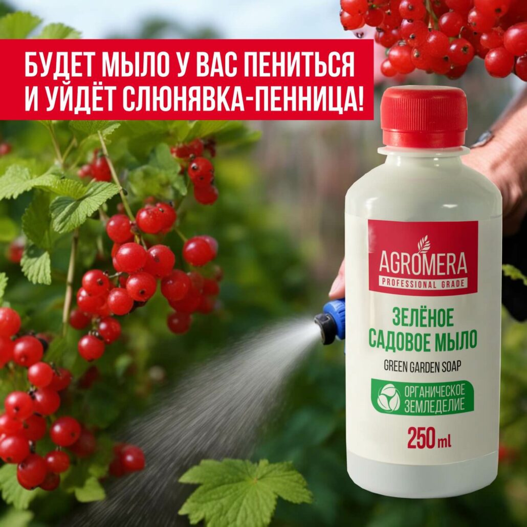 зеленое мыло инструкция по применению цена