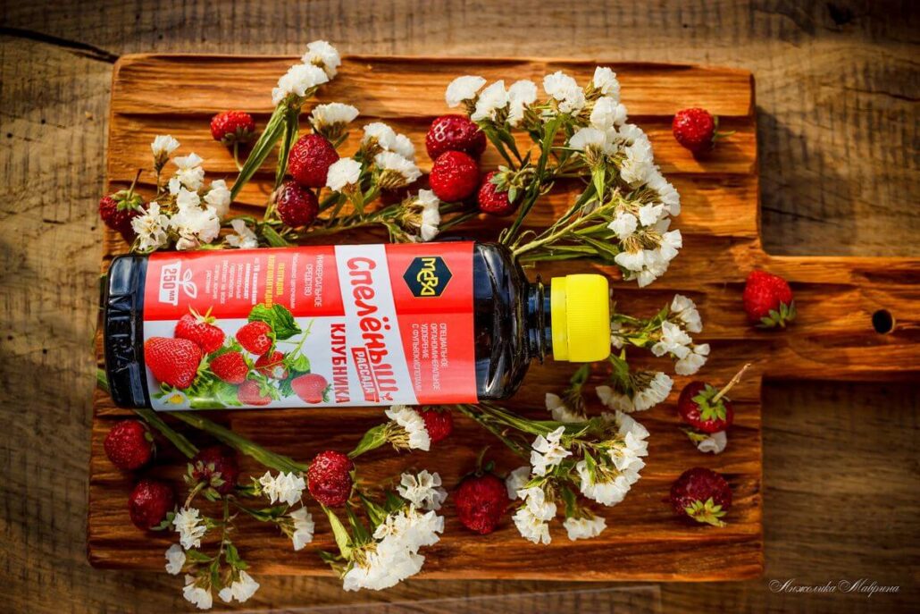 Секреты выращивания крупной и сладкой клубники: правильное питание с первых дней