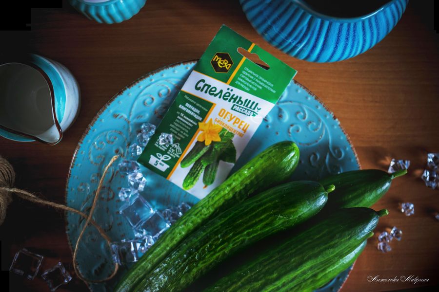 Как вырастить здоровую рассаду огурцов: пошаговое руководство