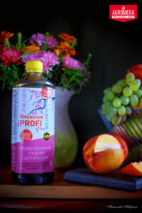 Советы по уходу за цветами на подоконнике: как сохранить красоту и яркость цветов зимой